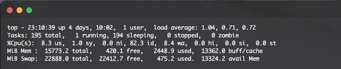 RAM usage on my server
